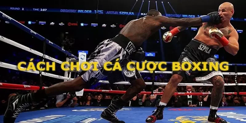 ca cuoc boxing de dang
