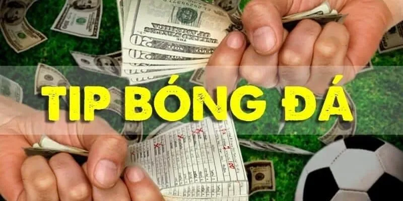Tại sao trang web tip bóng đá miễn phí đạt lượt xem khủng?
