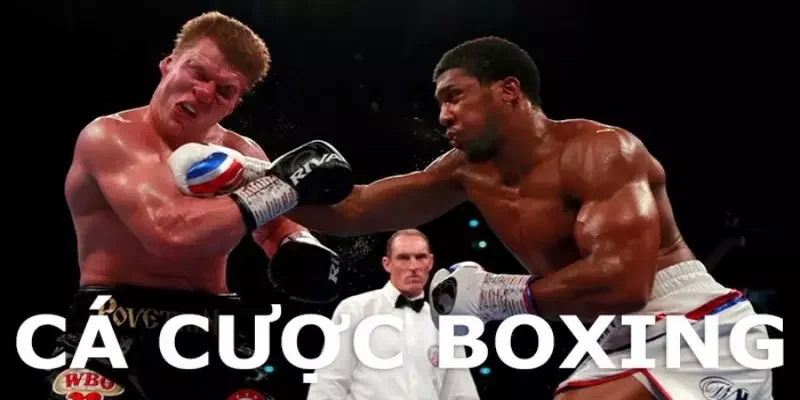 Các loại kèo cá cược boxing phổ biến hiện nay