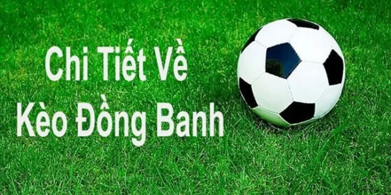 Cách đọc kèo bóng đá đồng banh