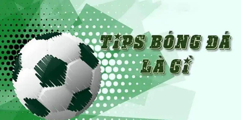 Tìm hiểu về tip bóng đá miễn phí 