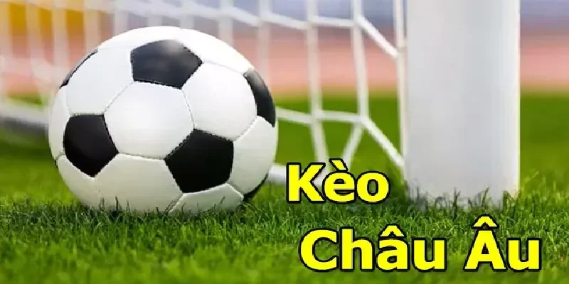 Tổng hợp các loại kèo trong bóng đá được yêu thích nhất