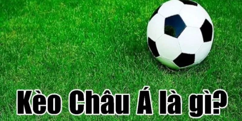 ty le ca cuoc la gi trong keo chau a