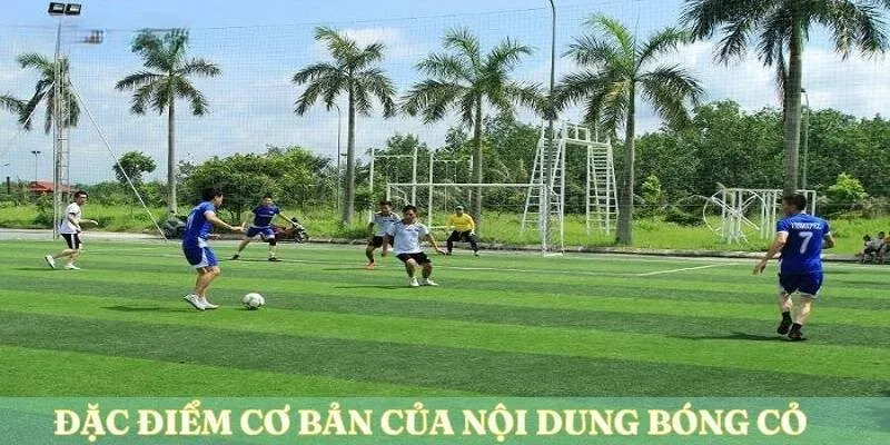 Các đặc điểm cơ bản của môn thi đấu bóng cỏ