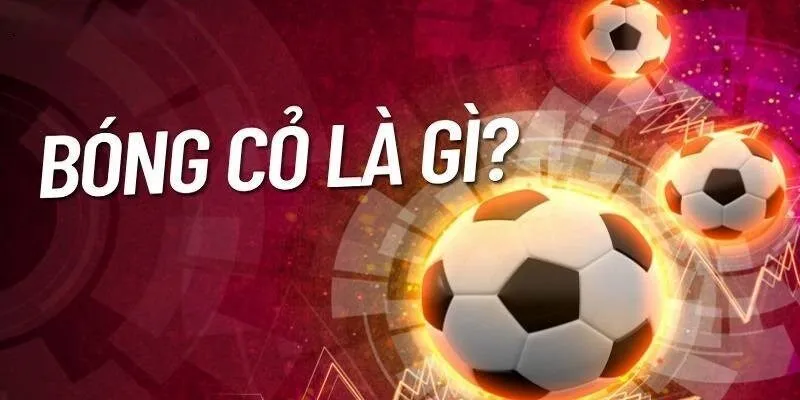 Giải thích chi tiết bóng cỏ là gì?