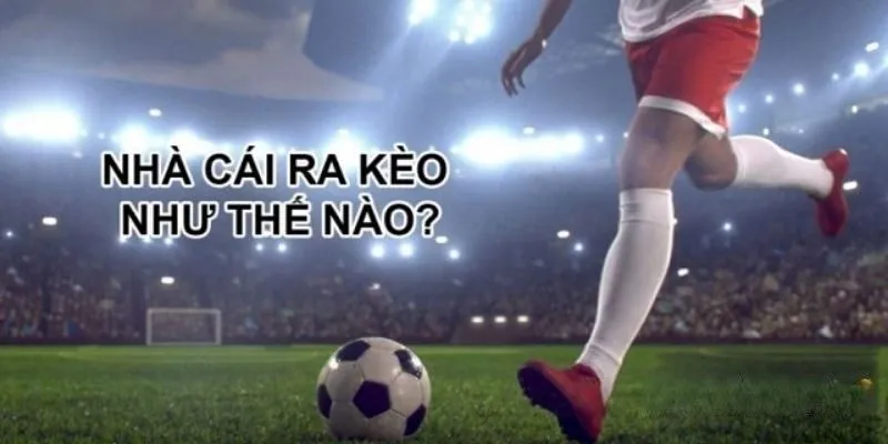 Khám phá cách nhà cái ra kèo