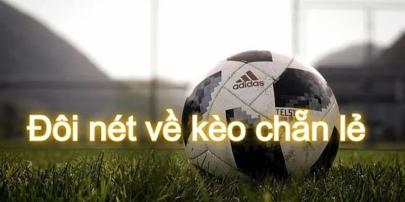 Cược chẵn lẻ có nhiều loại hình khác nhau