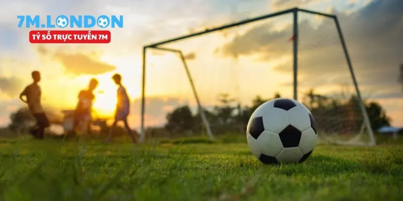 Dịch Vụ Chăm Sóc Khách Hàng 24/7