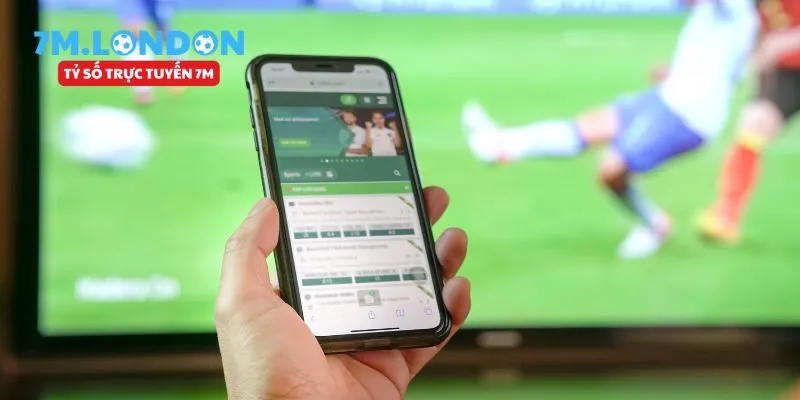 Những dịch vụ nổi bật của 7MCN cung cấp