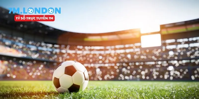 Điều gì khiến người dùng đến với 7m
